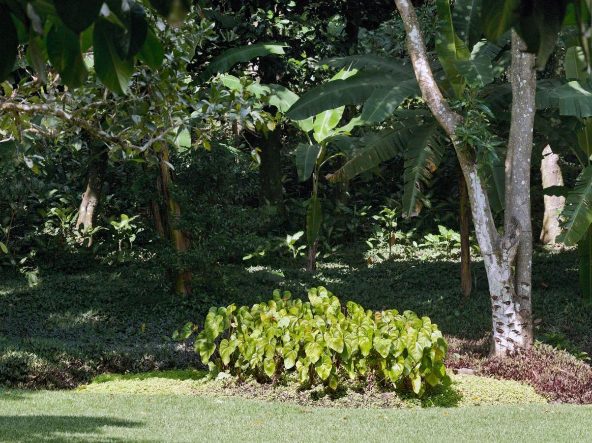 O Sitio - Ilha Grande Hotel Luaran gambar